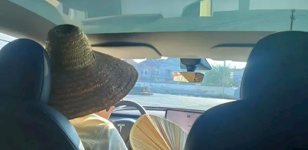 女子打到全景天幕网约车晒得在车里撑伞吐槽:别让我再打到