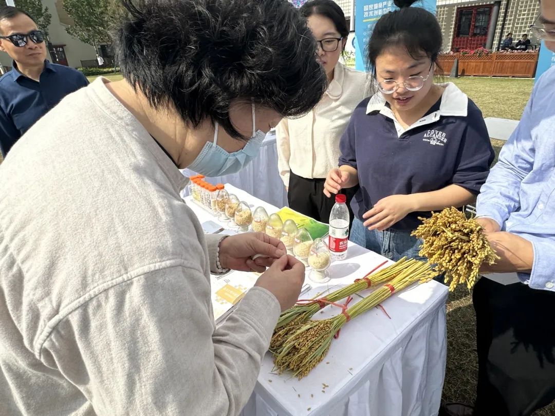刚上市的大米有多香?优质粮油进入杨浦社区,还有“干货”科普