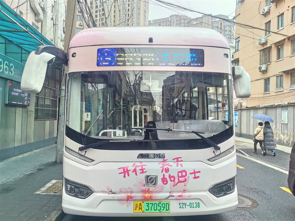 上海樱花节来了!顾村公园定制公交班线今起开行