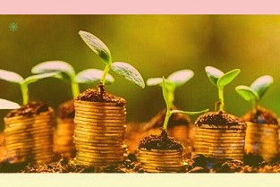 国金证券给予吉比特买入评级:合同负债进一步提升关注《奥比岛》进展